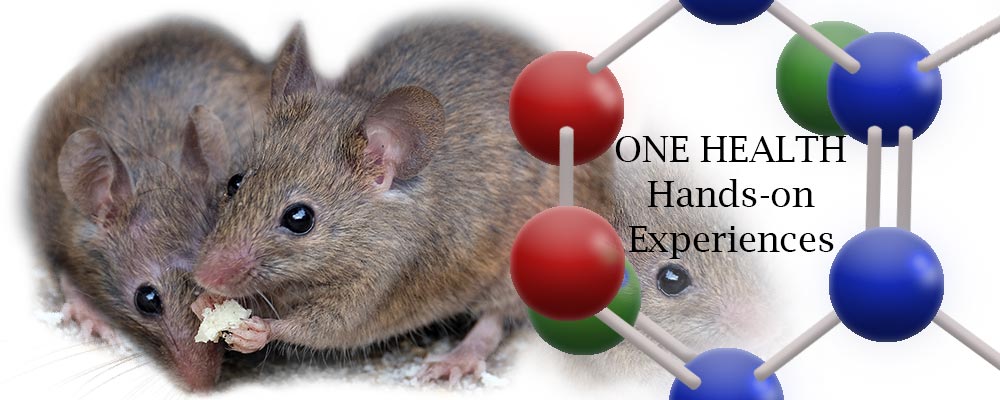 student and one health molecule